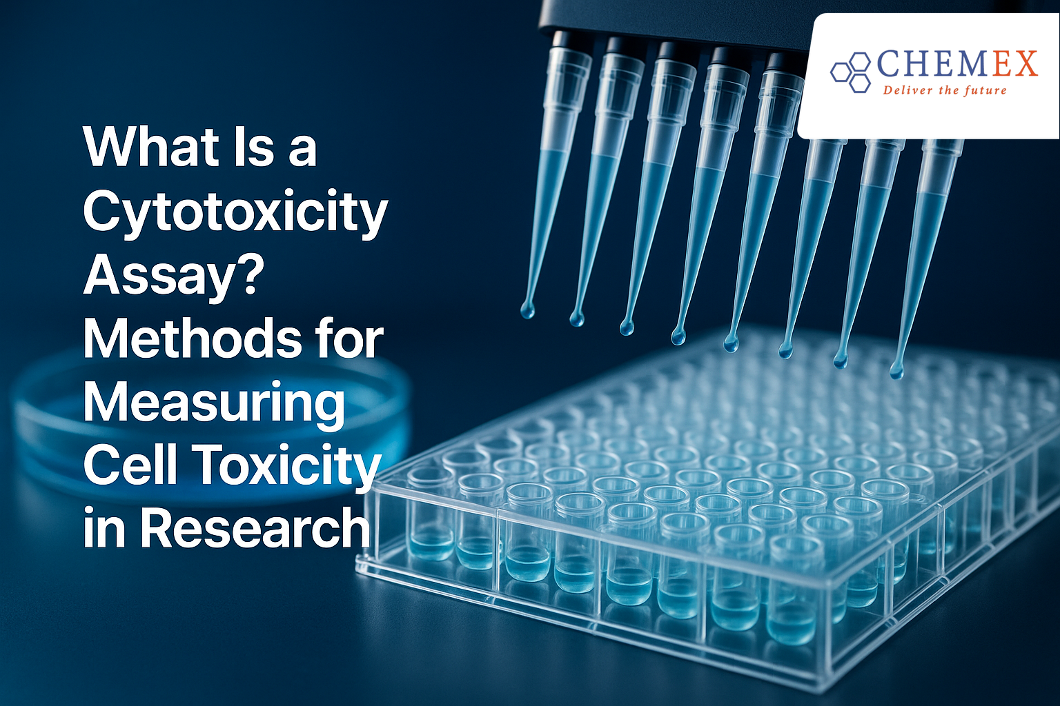 Cytotoxicity Assay คืออะไร? วิธีวัดความเป็นพิษต่อเซลล์ในงานวิจัย
