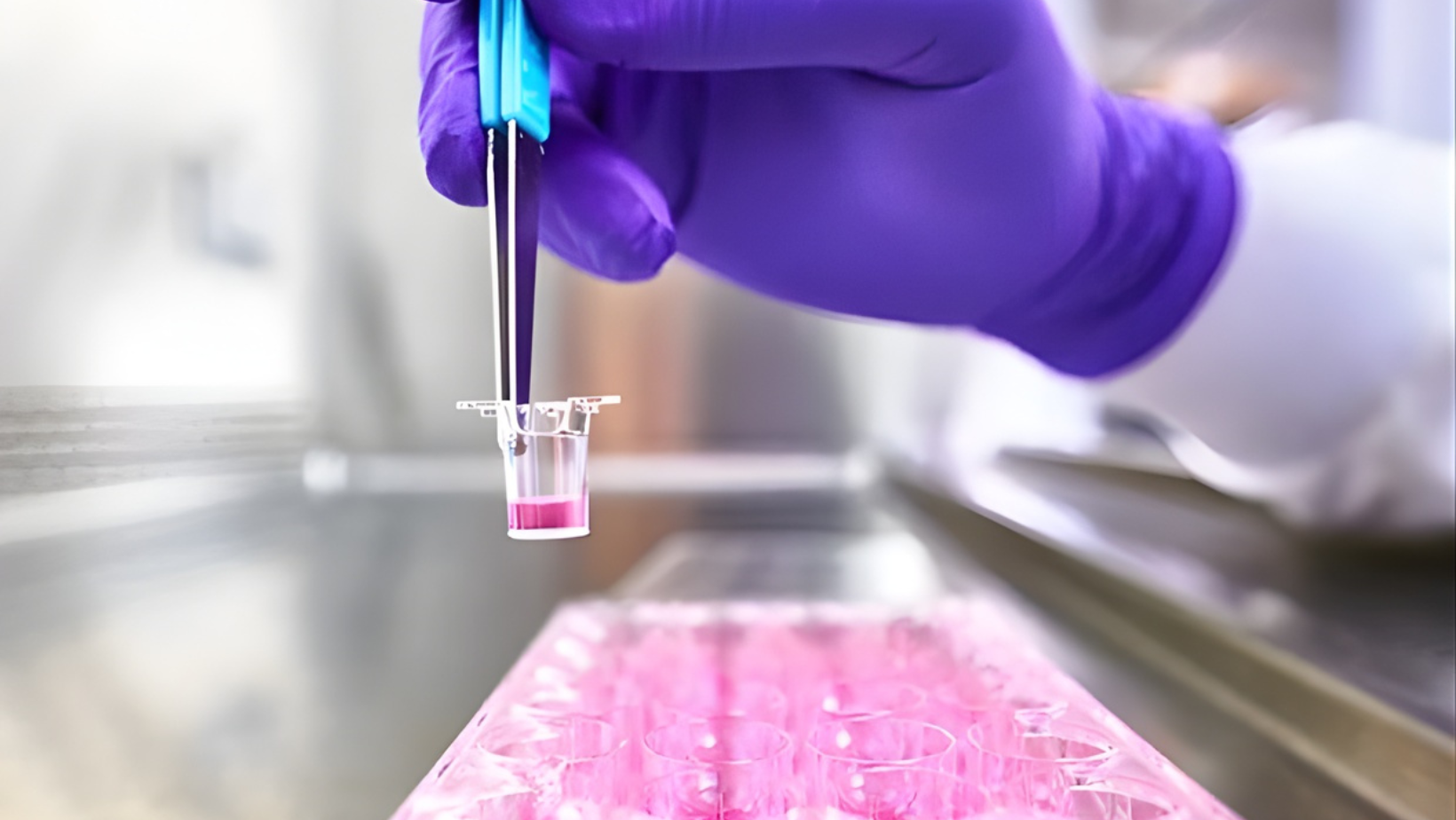 Millicell® Inserts & Plates by Merck: Advanced Cell Culture Solutions for Reliable Analysis
