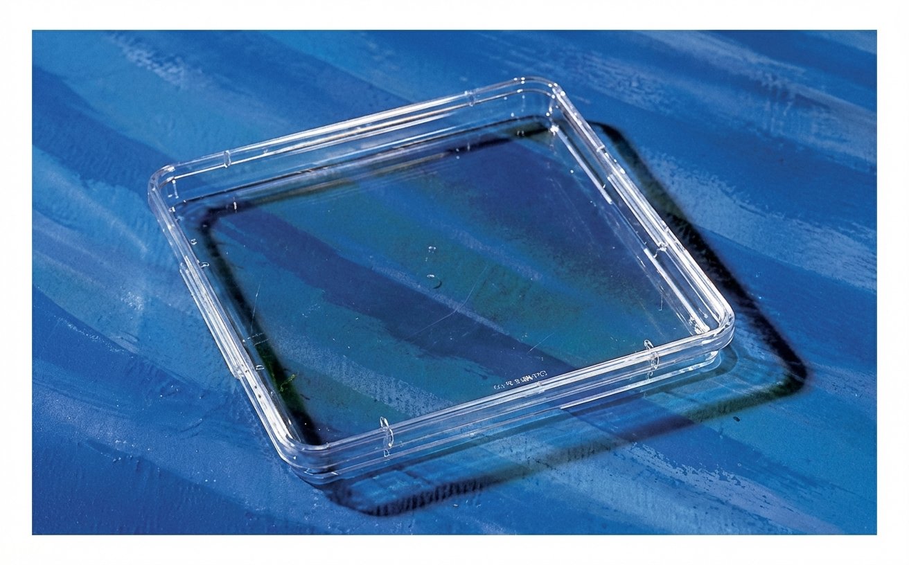 CORNING® Assay Dish: Sterile Polystyrene Dish for Efficient Microbial Assays and Colony Counting