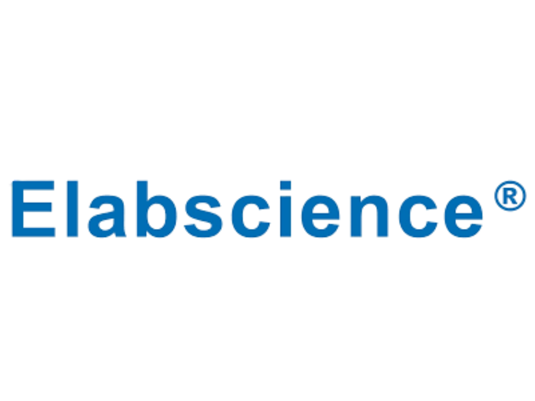Elabscience ตัวแทนจำหน่ายอย่างเป็นทางการในไทย